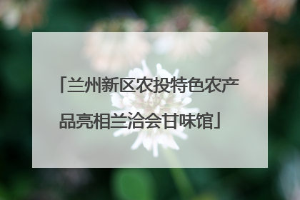 兰州新区农投特色农产品亮相兰洽会甘味馆