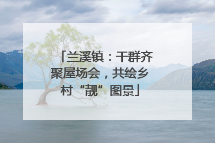 兰溪镇：干群齐聚屋场会，共绘乡村“靓”图景