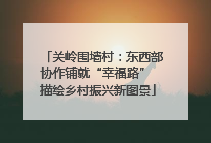 关岭围墙村：东西部协作铺就“幸福路” 描绘乡村振兴新图景