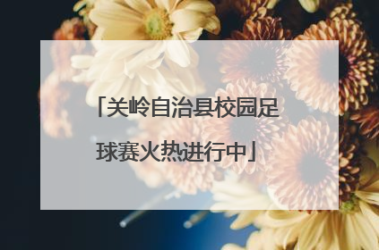 关岭自治县校园足球赛火热进行中