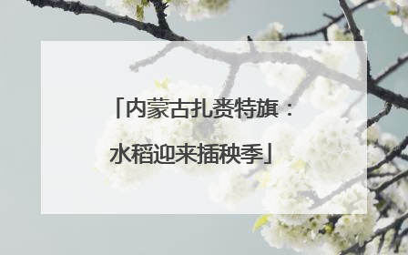内蒙古扎赉特旗：水稻迎来插秧季