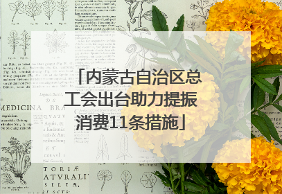 内蒙古自治区总工会出台助力提振消费11条措施