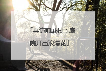 再访前戚村：庭院开出浪漫花