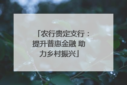 农行贵定支行：提升普惠金融 助力乡村振兴