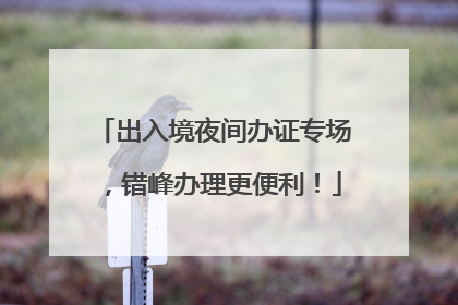 出入境夜间办证专场，错峰办理更便利！