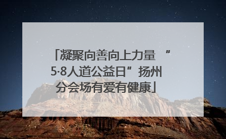 凝聚向善向上力量 “5·8人道公益日”扬州分会场有爱有健康