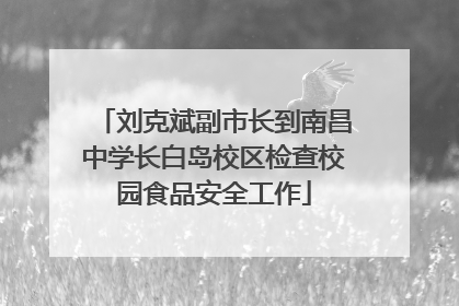 刘克斌副市长到南昌中学长白岛校区检查校园食品安全工作