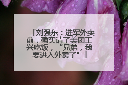 刘强东：进军外卖前，确实请了美团王兴吃饭，“兄弟，我要进入外卖了”