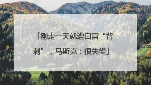 刚走一天就遭白宫“背刺”，马斯克：很失望