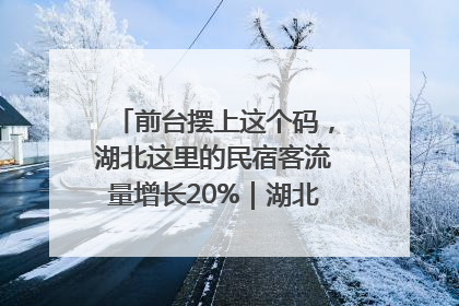 前台摆上这个码，湖北这里的民宿客流量增长20%｜湖北市场监管所的故事