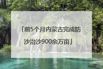 前5个月内蒙古完成防沙治沙900余万亩