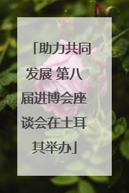 助力共同发展 第八届进博会座谈会在土耳其举办