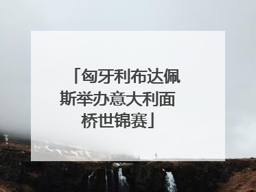匈牙利布达佩斯举办意大利面桥世锦赛