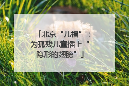 北京“儿福”：为孤残儿童插上“隐形的翅膀”