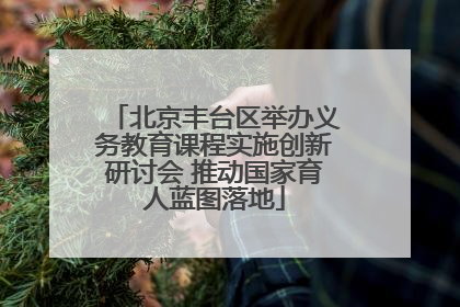 北京丰台区举办义务教育课程实施创新研讨会 推动国家育人蓝图落地