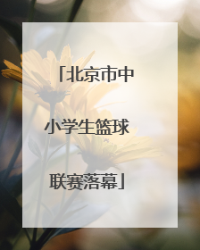 北京市中小学生篮球联赛落幕