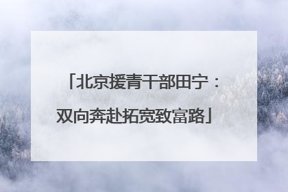 北京援青干部田宁：双向奔赴拓宽致富路