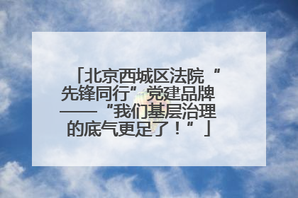 北京西城区法院“先锋同行”党建品牌——“我们基层治理的底气更足了！”