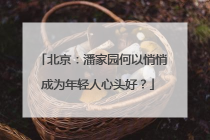 北京：潘家园何以悄悄成为年轻人心头好？