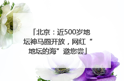 北京：近500岁地坛神马圈开放，网红“地坛的海”邀您尝