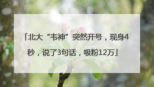 北大“韦神”突然开号，现身4秒，说了3句话，吸粉12万