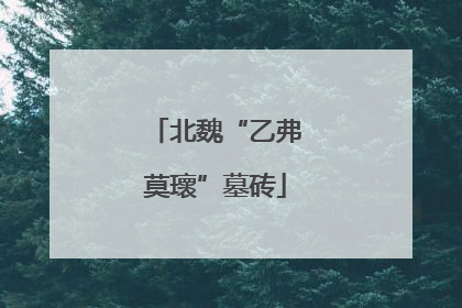 北魏“乙弗莫瓌”墓砖