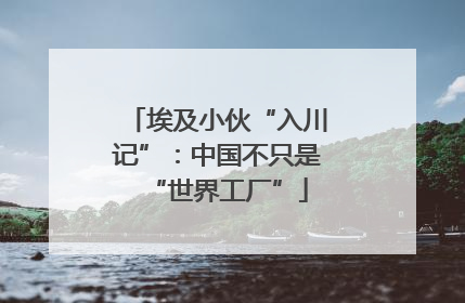 埃及小伙“入川记”：中国不只是“世界工厂”