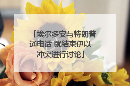 埃尔多安与特朗普通电话 就结束伊以冲突进行讨论