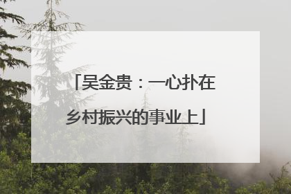 吴金贵：一心扑在乡村振兴的事业上