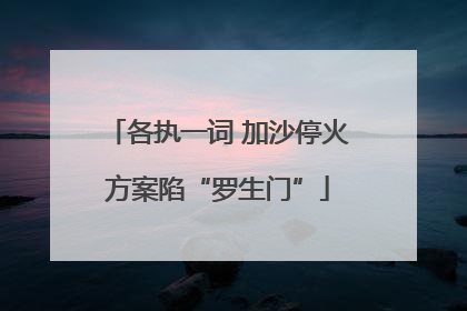 各执一词 加沙停火方案陷“罗生门”
