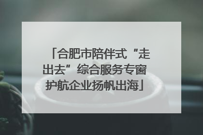 合肥市陪伴式“走出去”综合服务专窗护航企业扬帆出海