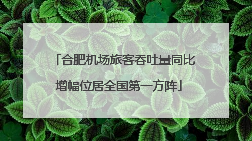 合肥机场旅客吞吐量同比增幅位居全国第一方阵