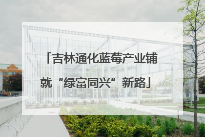 吉林通化蓝莓产业铺就“绿富同兴”新路