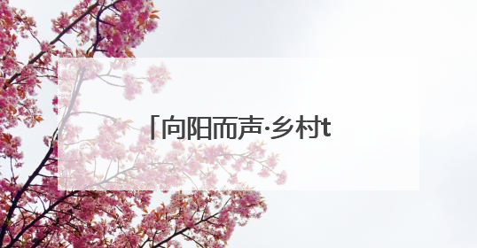 向阳而声·乡村talker季｜盐城射阳长荡镇辩论式宣讲有看头有热度