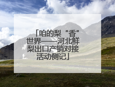 咱的梨“香”世界——河北鲜梨出口产销对接活动侧记