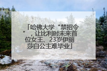 哈佛大学“禁招令”，让比利时未来首位女王、23岁伊丽莎白公主难毕业