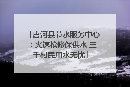 唐河县节水服务中心：火速抢修保供水 三千村民用水无忧