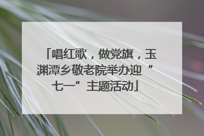 唱红歌，做党旗，玉渊潭乡敬老院举办迎“七一”主题活动