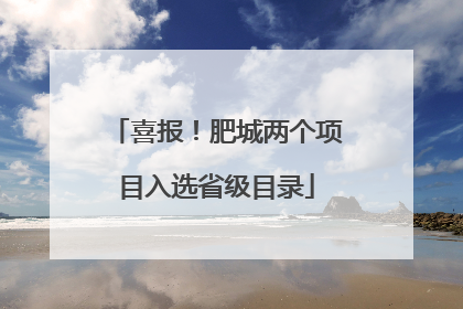 喜报！肥城两个项目入选省级目录
