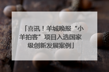 喜讯！羊城晚报“小羊拍客”项目入选国家级创新发展案例