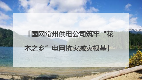 国网常州供电公司筑牢“花木之乡”电网抗灾减灾根基