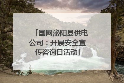 国网泌阳县供电公司：开展安全宣传咨询日活动