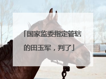 国家监委指定管辖的田玉军，判了