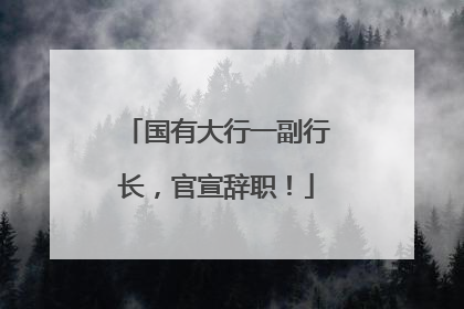 国有大行一副行长，官宣辞职！