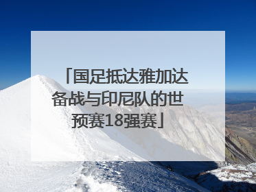 国足抵达雅加达备战与印尼队的世预赛18强赛