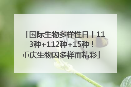 国际生物多样性日丨113种+112种+15种！重庆生物因多样而精彩