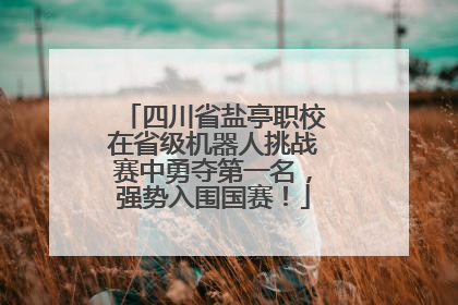 四川省盐亭职校在省级机器人挑战赛中勇夺第一名，强势入围国赛！