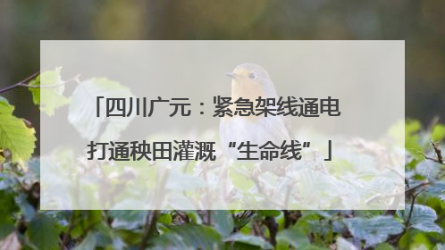 四川广元：紧急架线通电 打通秧田灌溉“生命线”