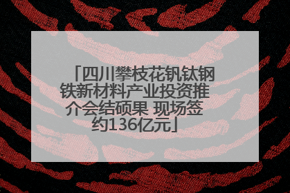 四川攀枝花钒钛钢铁新材料产业投资推介会结硕果 现场签约136亿元