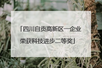 四川自贡高新区一企业荣获科技进步二等奖